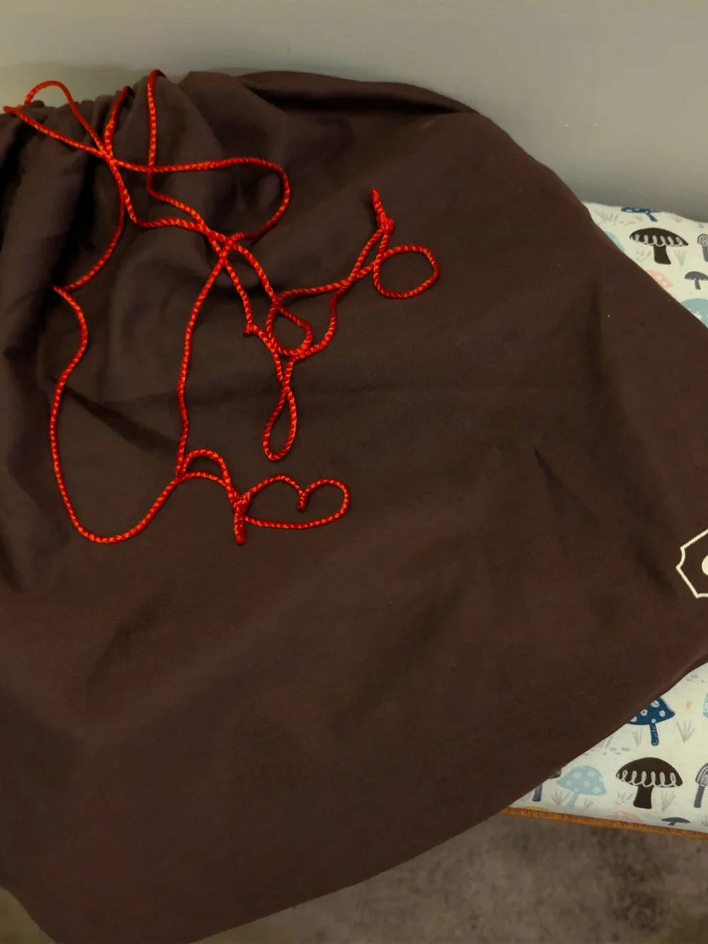 Coach Carly Brown Leather Boho Bag!